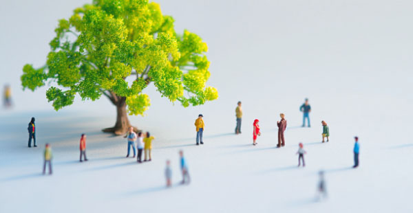 会員紹介ページへ